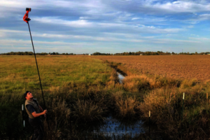 Wetland Watch