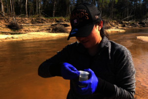 Nature-based Resiliency in Harvey Recovery