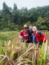 Farmers must work in the rain - kids enjoy photos!