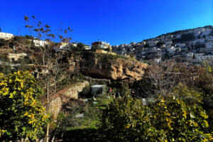 Land owned by the Greek Orthodox in E. Jerusalem