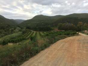 Rough rural road