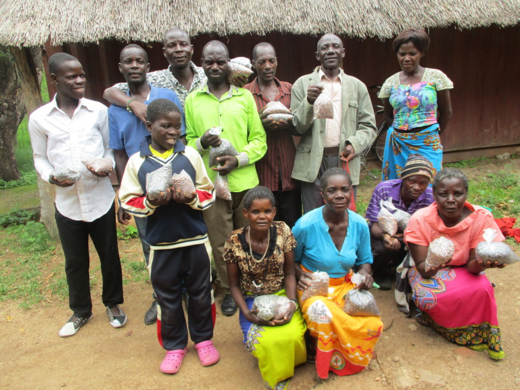 Beating Covid-19 with climate change resilience