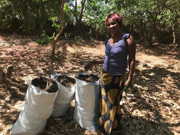 Beating Covid-19 with climate change resilience