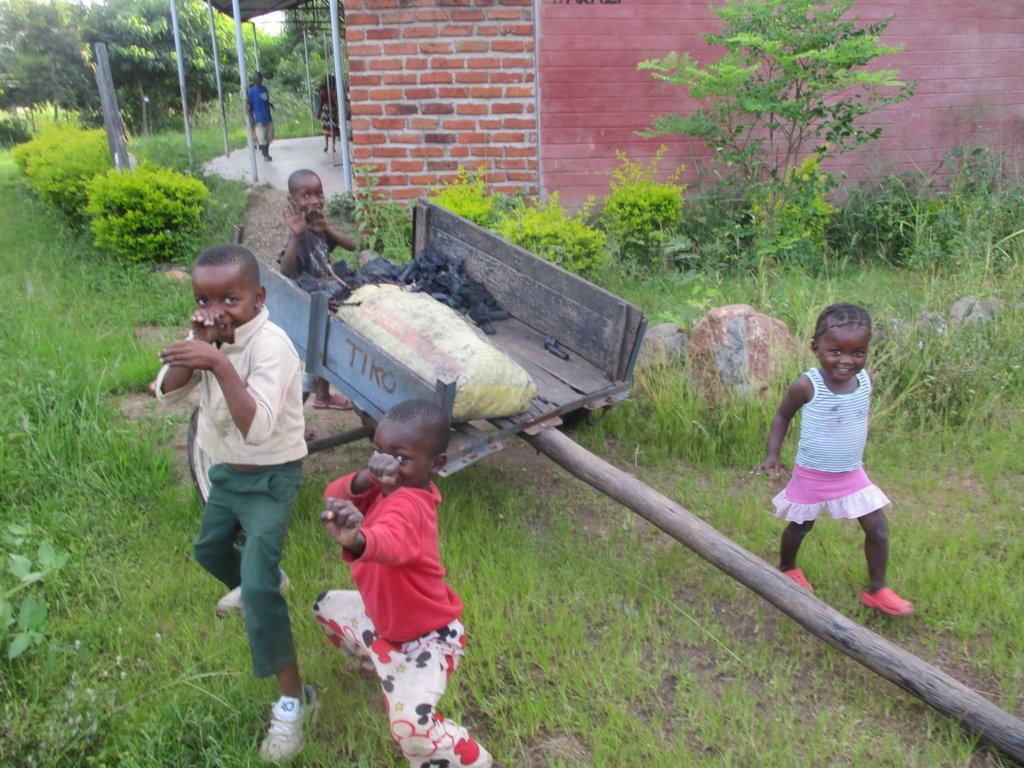 Beating Covid-19 with climate change resilience