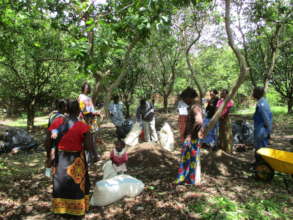teaching how to make a compost heap