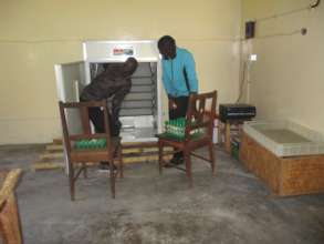 the incubator