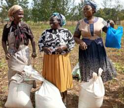 EACF partners with women's groups to grow food