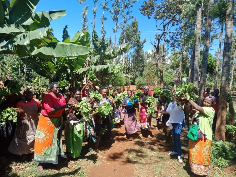 Seedlings & Soap: Promoting Food Security in Kenya