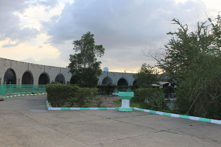 Emergency intervention to save animals in zoos