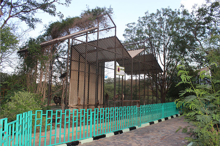 Emergency intervention to save animals in zoos