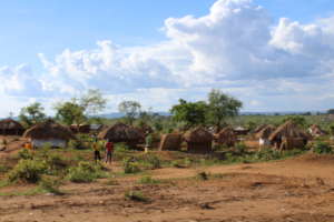 Effects of climate change