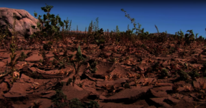 The effects of climate change on farmers