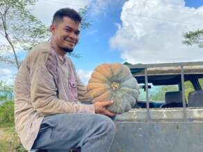 Food gardens provide nutrition