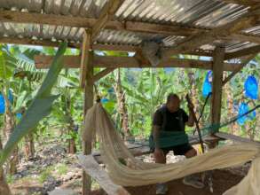 Continue with assistance