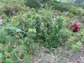 Gardening with the elderly
