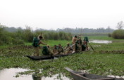 Thank our Forest Guards this World Ranger Day