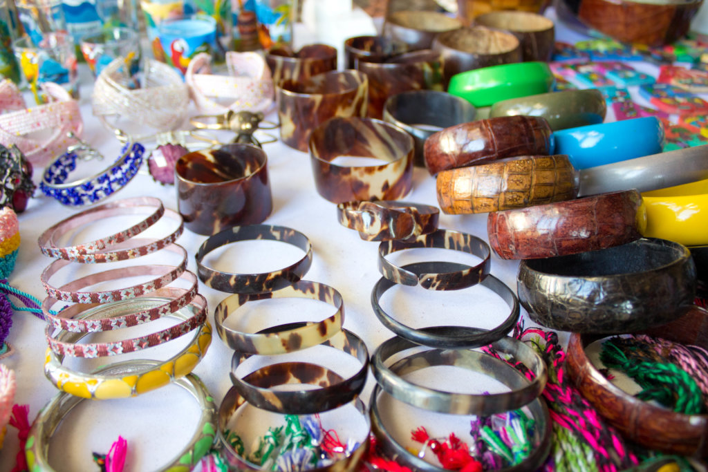 End Demand For the Tortoiseshell Trade