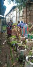 CFK staff planting our kitchen sack garden.