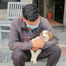 Our staff love puppy cuddles