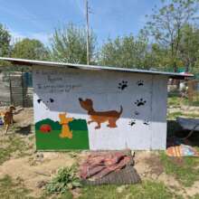 One of the six finished  shelters