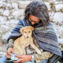 We have got many dogs adopted locally this year