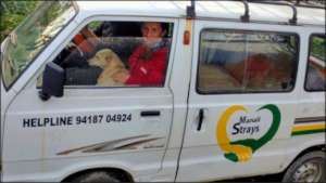 Our small rescue van so we can transport animals