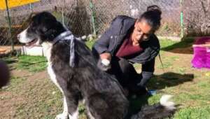 Grooming sessions help the inpatients relax