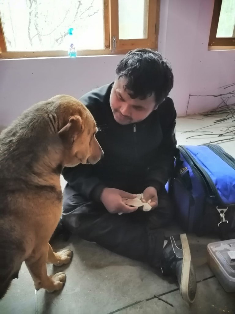Can you help set up Manali's only animal hospital?