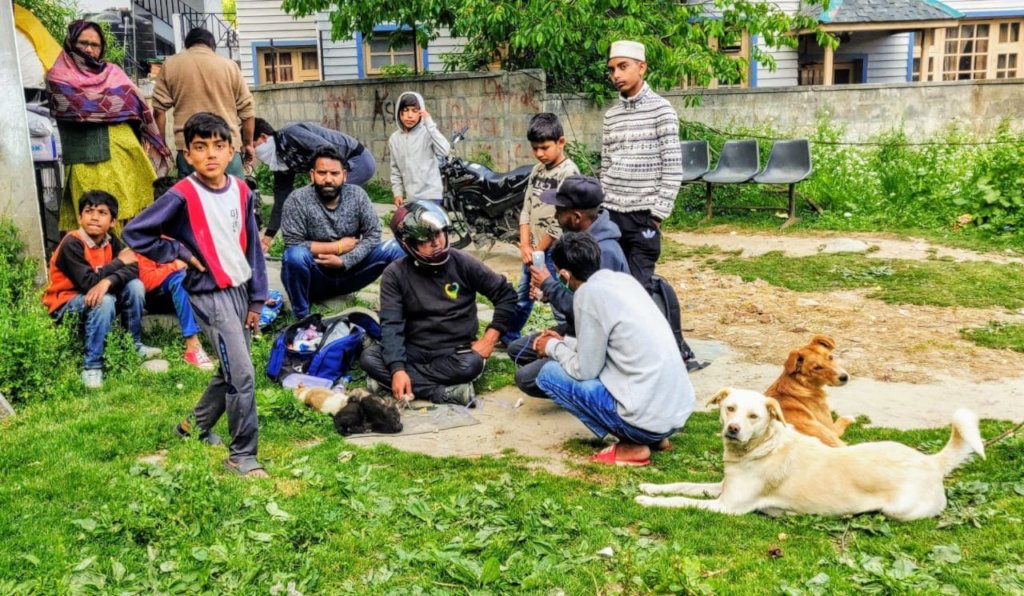 Can you help set up Manali's only animal hospital?