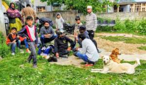Local community getting involved in a puppy's care