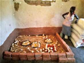 Chicks and Feed for Poultry Initiative