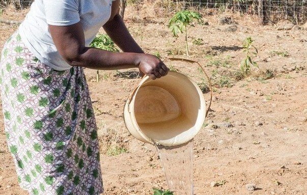 COVID-19 Support to Rural Communities