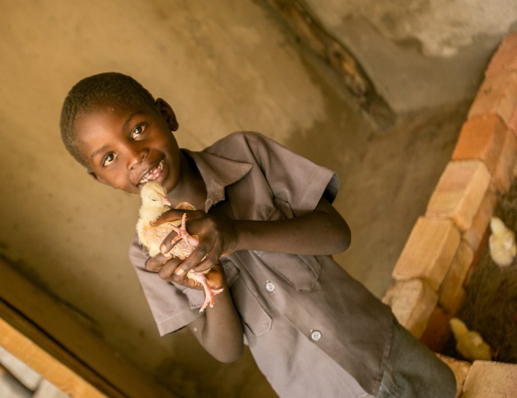 COVID-19 Support to Rural Communities