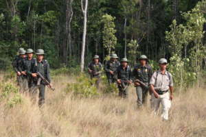 Forest rangers on patrol