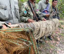 165 snares plus nets removed during July patrol