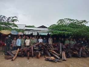Over 3 tonnes of illegal luxury timber seized