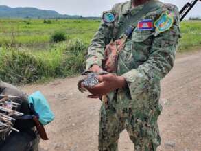 Bird saved from trap by rangers