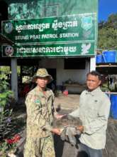 Handover of turtle from our rangers to WCS