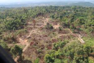 Clearing with charcoal kilns inside protected area