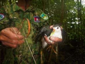 Ranger holding a snare and rescued bird