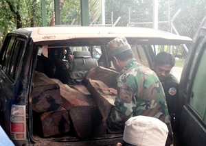 Confiscated Illegal Timber