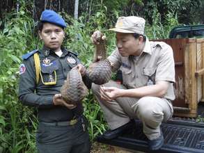 Rangers with rescued pangolins before releasing