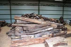 Timber Confiscation