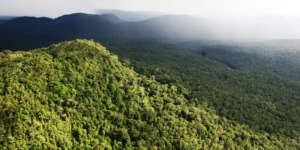 The 2 millions acres of forest the rangers protect