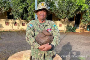 Ranger holding Sunda Pangolin rescued in Dec. 2020