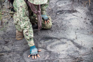 Tracking Endangered elephant footprints