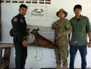 Ranges rescuing a sambar deer