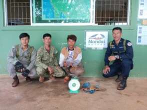 Weighing a rescued pangolin