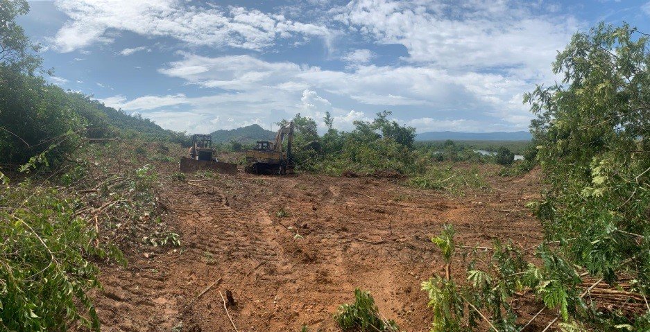 Forest cleared by heavy machinery