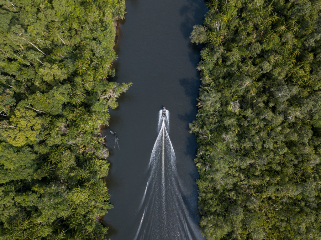 Help Rangers Protect Endangered Cambodian Wildlife